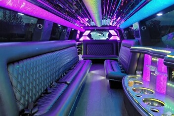 Troy Limo Interior